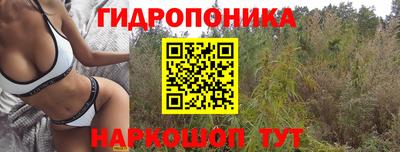 Альфа ПВП Славгород