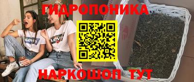 индика Северобайкальск