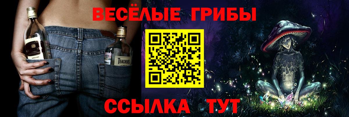Псилоцибиновые грибы мухоморы  Вход с VPN  Печора 